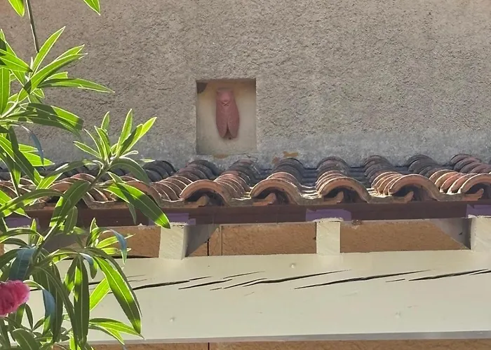 アパート Maison Cigale Ramatuelle サントロペ