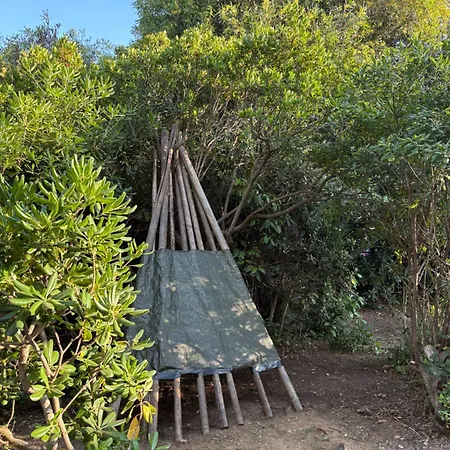 Maison Cigale Ramatuelle * سان تروبيه